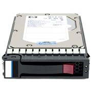 Жесткий диск HPE 300Gb (507284-001B)