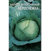 Семена капусты Белоснежка и другие семена.Доставка по Украине.