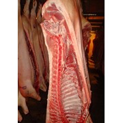 Свинина-полутуши. Мясо охлажденное. фото