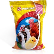 Комбикорм Purina для цыплят-бройлеров «Стартер» фото
