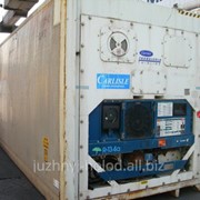 Оборудование для коммерческого холода Сarrier реф контейнер 2000 г. выпуска фото