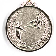 Медаль Карате серебро фотография