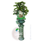 Декоративный напольный фонтан Медичи на колонне фотография