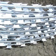 Колючая проволока (Егоза) d 450 mm, 3 скобы фотография