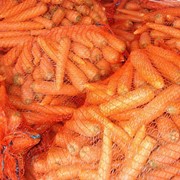 Морковь Абала сорт 1, опт фото
