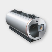 Высокотемпературные водогрейные котлы Vitomax 200-HW (M236) фото