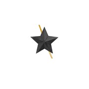 Звезда на погоны ФСИН черная 13 мм фото