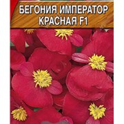 Семена садовых цветов бегония император красная 10 пачек фото