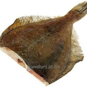Рыба Камбала икряная без головы и без брюха, размер L фото