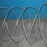 Спиральный барьер безопасности СББ Козачка (аналог Егозы) фото