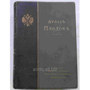 Атлас плодов. фото