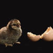 Инновационные решения фото