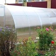 Теплица Сибирская 40Ц-0,5, 6 метров, из замкнутого профиля 40*20, шаг 0,5 м фото