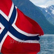 Виза в Норвегию без присутствия