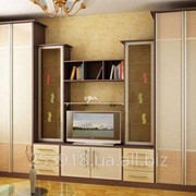 Мебель модульная гостинная (5)