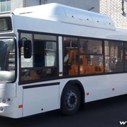 Автобус МАЗ 103464