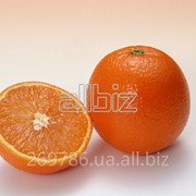 Апельсины класс Экстра, прямые поставки из Испании