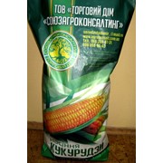 Семена кукурузы Любава 279 МВ ФАО 270