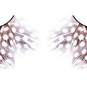 Тёмно-фиолетовые ресницы-перья BL645