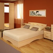Мебель для спален Карина фото