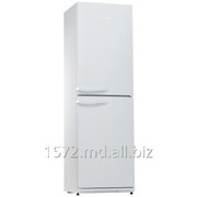Холодильник Snaige RF 35SM-P10022 фотография