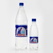 Вода минеральная питьевая лечебно-столовая “Господин Великий Новгород“ фото