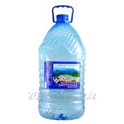 Питьевая столовая негазированная вода Шаянская Родниковая 10 л фото
