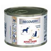 Recovery fel/can Royal Canin корм, Банка, 0,195кг фотография