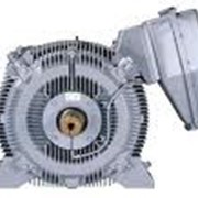 Производство и реализация высоковольтных электродвигателей 315-8000 кВт фото