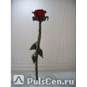 Кованая роза фотография