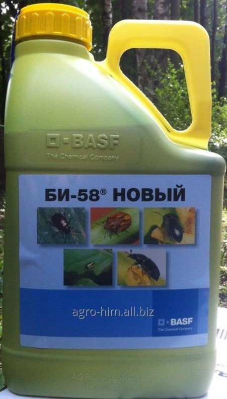 Купить Би 58 Новый В Интернет Магазине