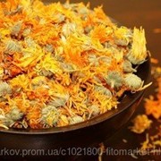 Цветки Календулы лекарственной 100 грамм (Calendula officinalis) фото
