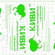 Сотовый поликарбонат КИВИ Зеленый 6 мм (2,1*6 м) Полигаль КИВИ фотография