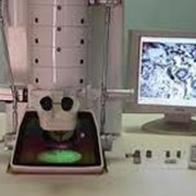 Растровый электронный микроскоп фотография