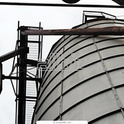 Зерно товарное:Пшеница озимая Антоновка и Богдана Ячмень Кукурудза Подсолнечник семена фотография