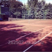 Теннисные корты на Трухановом острове фото
