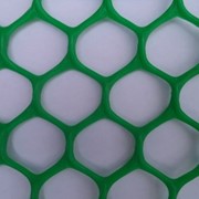 Газонная сетка (решетка) фото