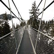 Завод по производству оцинкованных стальных решето фото