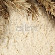 Мука пшеничная фото