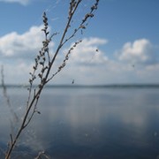 Творческий пикник фотография