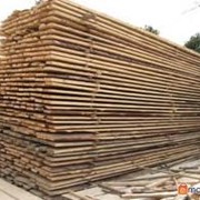 Работы по дереву, древесным материалам, Чернигов фото
