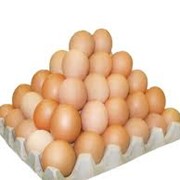 Яйца куринные фотография