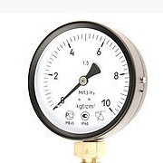 Манометры силиконозаполненные D100 фото