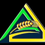 Зуб передний сошника сеялки Horsch 310262 фото