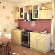 Кухонный гарнитур Блюмэ фотография