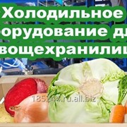Холодильное оборудование для овощехранилища или картофелехранилища фото