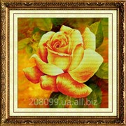 Набор для рисования камнями “Ароматная роза-2“ 80061 фотография