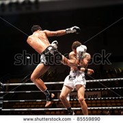 Кунгфу, тайский бокс, боевое самбо