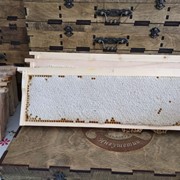 Мёд в сотах липовый товары для здоровья и красоты фото
