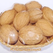 Саженцы грецкого ореха привитые Сорт Клишковский фото